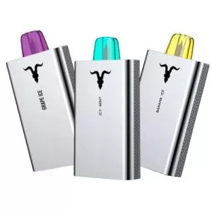 Review of disposable IGNITE 5000 (V50)