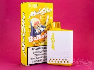 Review of disposable MONASHKA 5000